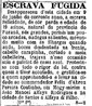 Escrava fugida. Desapareceu desta cidade em 9 de junho do corrente ano, a escrava Felicidade, de cor parda e idade de 19 anos, natural da provncia do Paran, ps grandes, pernas um pouco arcadas, ndegas salientes, movendo muito com as ilhargas quando anda, boca desdentada na frente, cabelo carapinha, cortado a meia cabeleira, trajava nessa ocasio saia e papet de cassa azul. Protesta-se com todo o rigor da lei, contra quem a tiver acoutado, e gratifica-se a quem apreend-la e levar na cidade de Felix dAbreu Pereira Courinho, em Mogy-Mirim a Joo Manoel Alfaya Rodrigues e na cidade de Santos a Alfaya & Filho. <br><br/> Reclame publicado no dia 23 de agosto de 1883. <br><br/> Essa imagem pode ser usada no contedo bsico trabalho escravo e trabalho livre para discutir a condio do cativo no pas. Alm disso, permite um debate acerca da escravido no Paran. <br><br/> Palavras-chave: relaes de trabalho, Brasil, escravido, imprensa, Paran. 