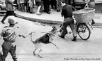 A Passeata dos Cem Mil foi uma manifestao de protesto contra a Ditadura civil-militar instaurada em 1 de abril de 1964 no Brasil, em consequncia da morte do estudante secundarista Edson Lus de Lima Souto, em 28 de maro de 1968. Edson Lus foi assassinado, com uma bala que atingiu o seu corao, por um agente policial quando da invaso do restaurante Calabouo. A manifestao, ocorrida em 26 de junho de 1968, reuniu mais de cem mil pessoas no centro da cidade do Rio de Janeiro, na regio conhecida como Cinelndia, o que representou um dos mais significativos protestos no perodo ditatorial do Brasil, conhecido tambm como Anos de Chumbo. Os manifestantes reivindicavam a volta das liberdades democrticas e o fim da censura, alem da luta contra os atos de violncia e represso do governo. <br><br/> Palavras-chave: ditadura civil-militar, represso, protesto, movimento estudantil, esquerda, direita, comunismo, socialismo, capitalismo.