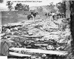 Guerra da Secesso - confederados mortos em Antietam