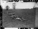 Guerra da Secesso - corpos de confederados em Antietam