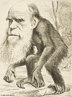 Charles Darwin foi um naturalista britânico que propôs uma teoria para explicar a evolução humana. Em seu livro de 1859, A Origem das Espécies ele introduziu a ideia de evolução a partir de um ancestral comum, por meio de seleção natural. <br><br/> Palavras-chave: relações de culturais, biologia, teoria, evolução.