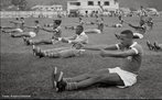 Copa de 1954 - preparação brasileira