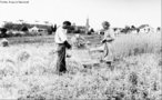 Exemplo de agricultura familiar, anos 1930.<br><br/> Palavras-chave: agricultura, relações de produção, vida rural.